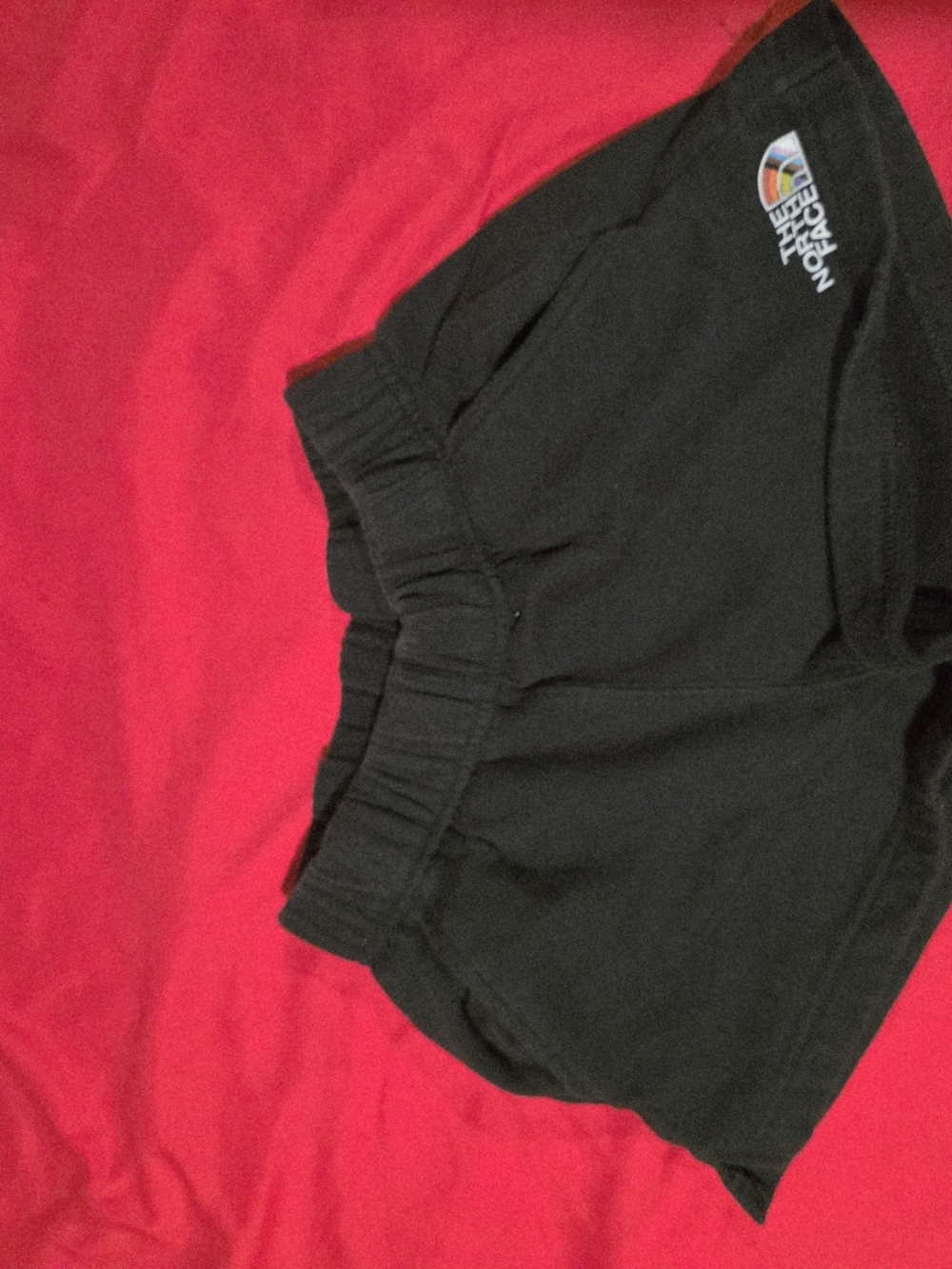 The North Face Black Women's Athletic Shorts with Logo